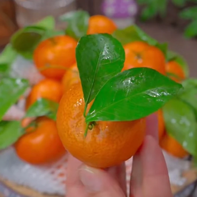 砂糖橘一箱10斤左右一筐