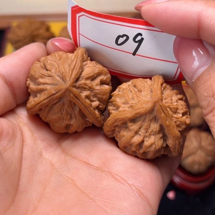 文玩核桃手串36.5全品玉玺奔09