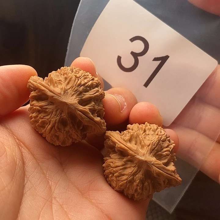 核桃全品37尺31号链接