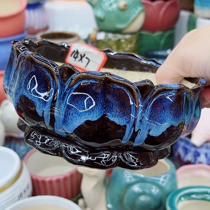 多肉植物陶瓷花盆