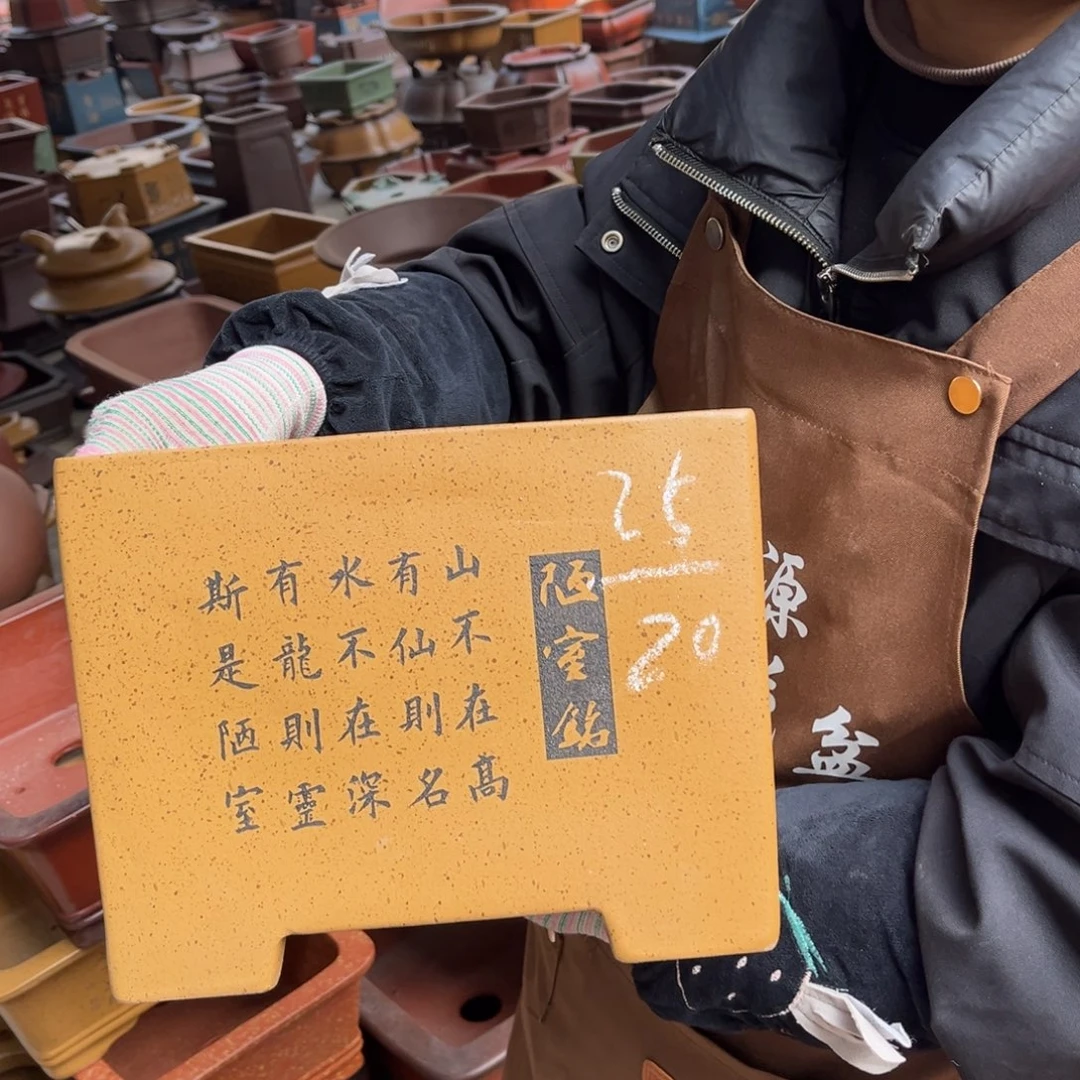 花盆紫砂盆景艺术
