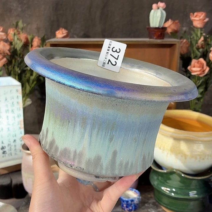 花盆花盆花盆花盆炫彩