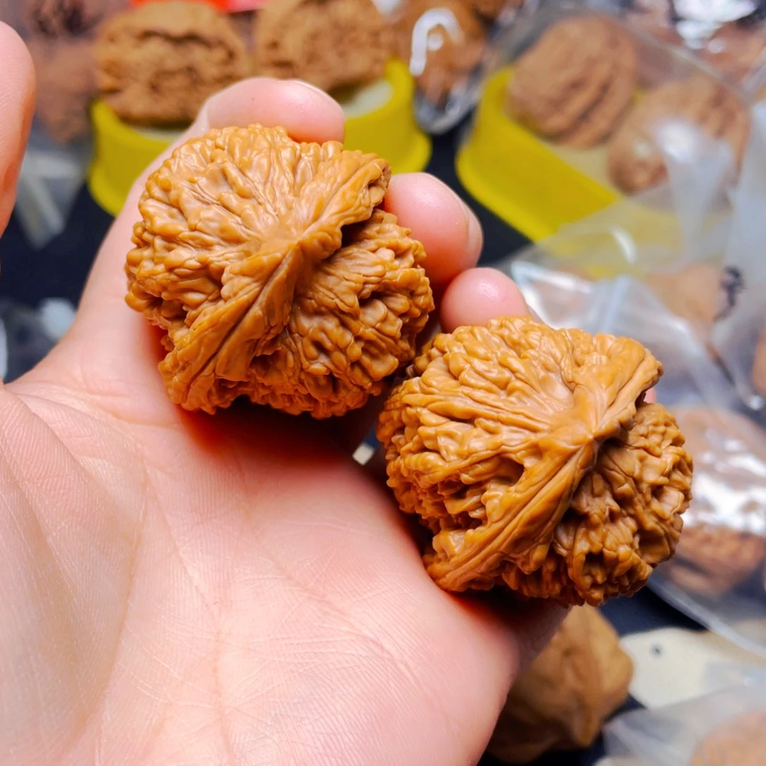 吊坠文玩核桃葫*粗筋蚂蚁王