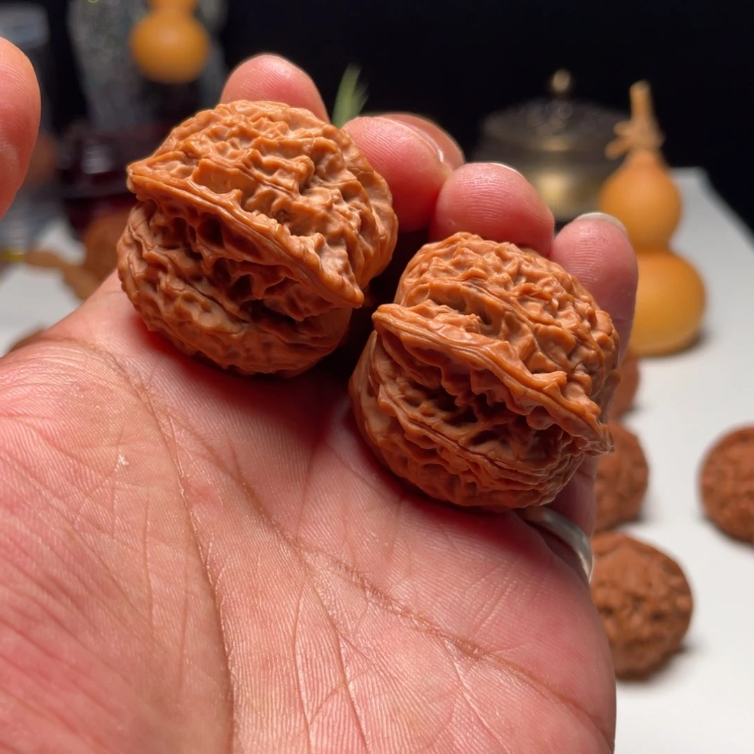 文玩核桃把件梅**茶蟠龙纹40全品