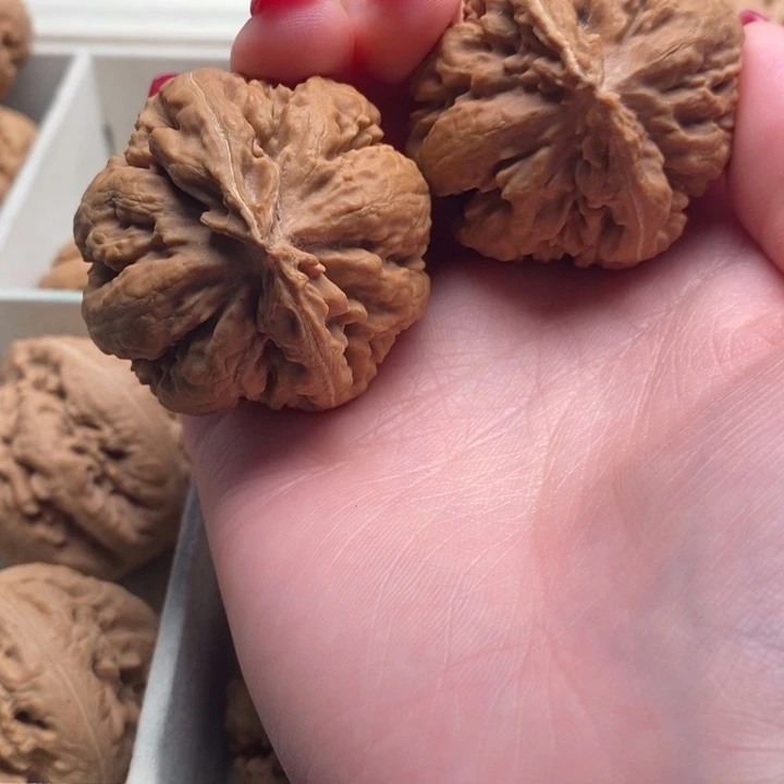 @****霸王龙全品无修一刀没摸过