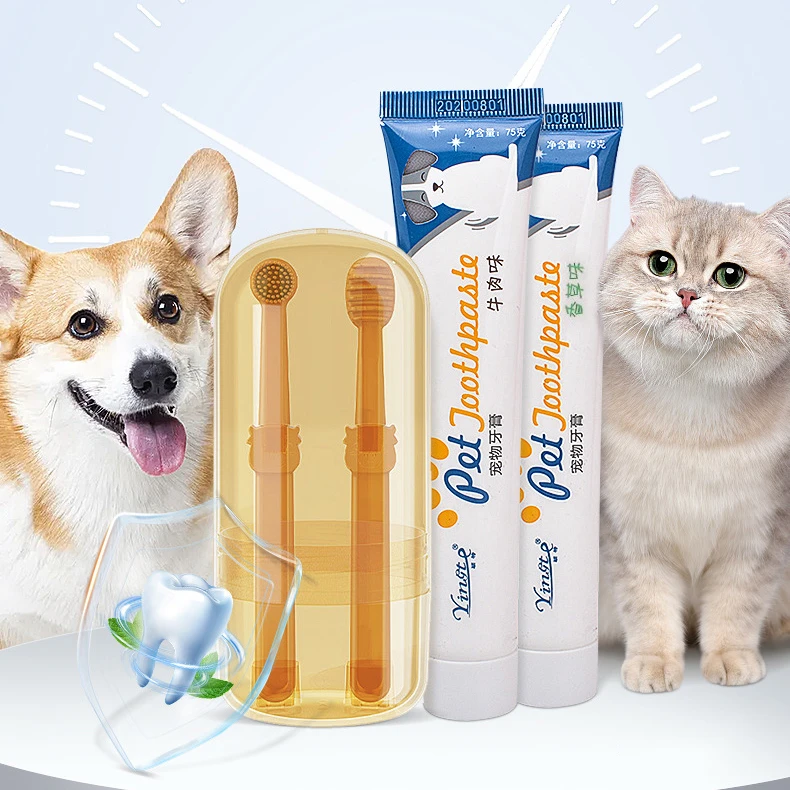 柔软猫咪牙刷牙膏宠物刷牙通用宠物狗狗牙膏清洁用+去牙结石工具