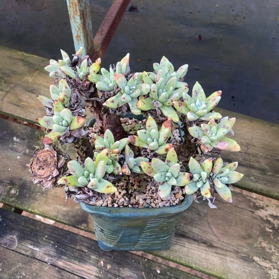 开播福利处理法姆