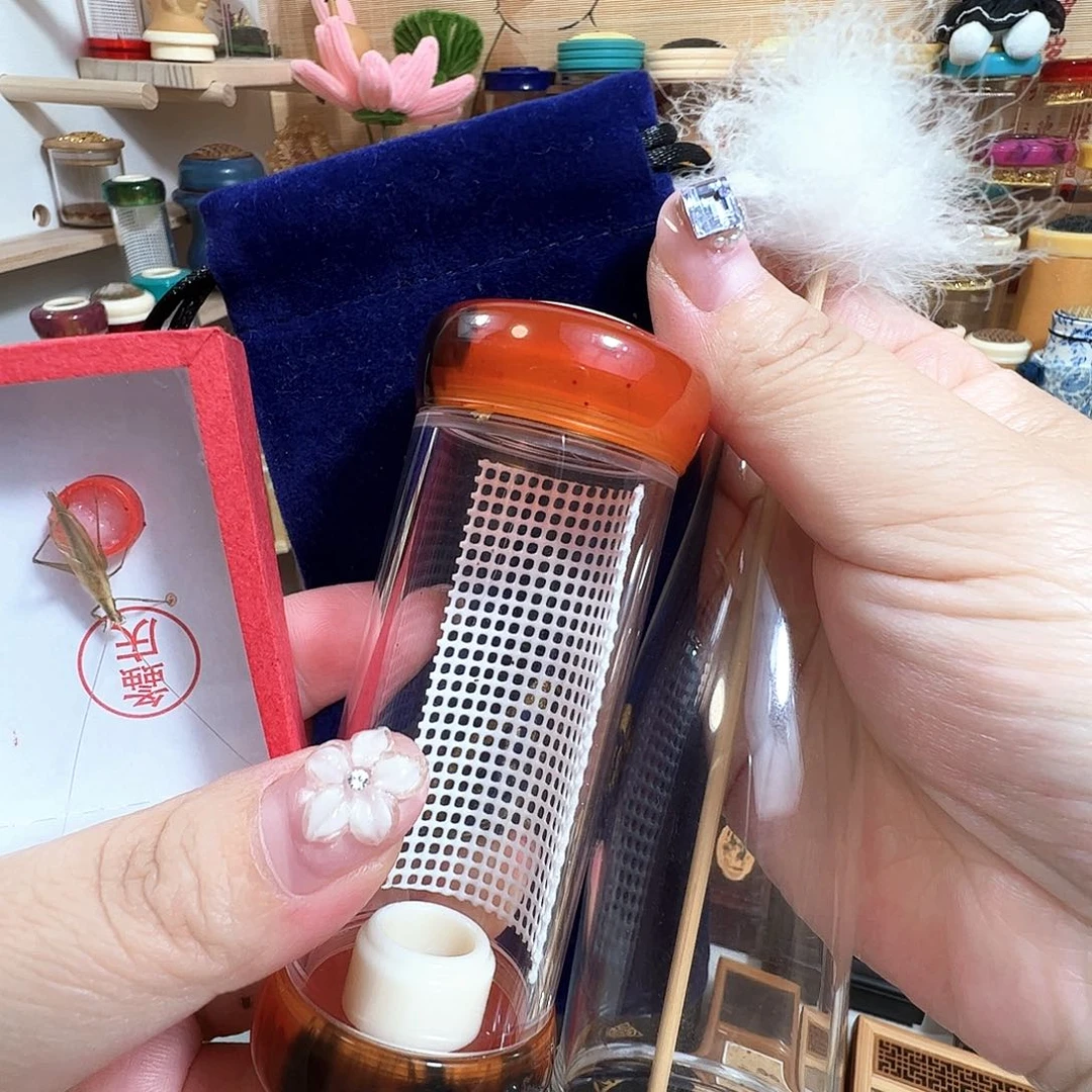 哈哈哈哈哈竹蛉套装