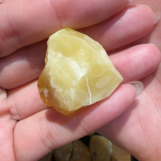 定制琥珀未镶嵌金**极蜜蜡