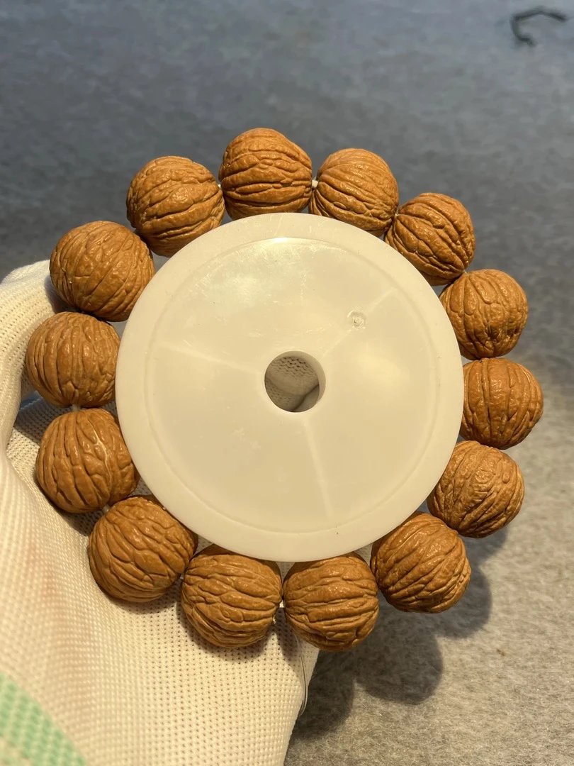 猴头原皮凤羽霸王龙