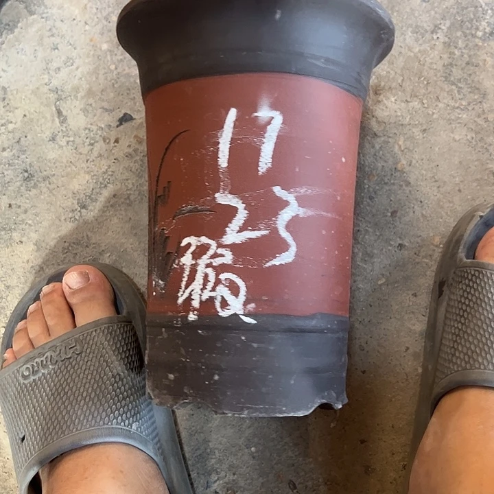 紫砂艺术学院美术