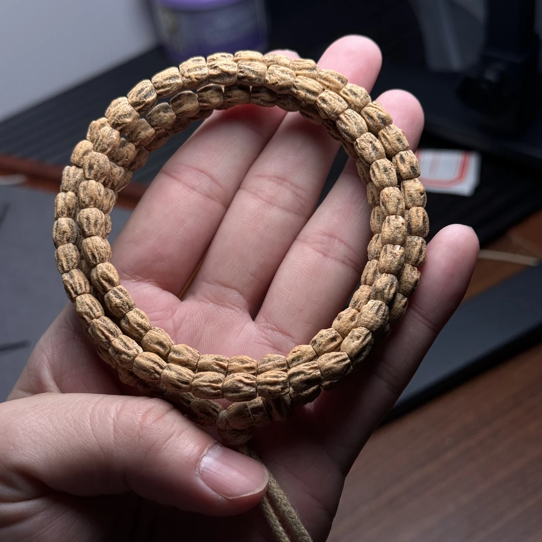 热振柏香籽高桩顺麻皮