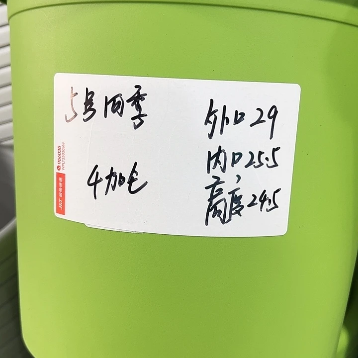 用***6特价5号四季口29高24白色10个无托