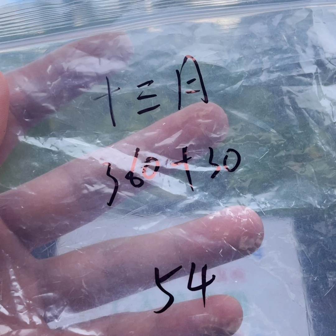 十***丶非金属无所见即所得秒拍秒付