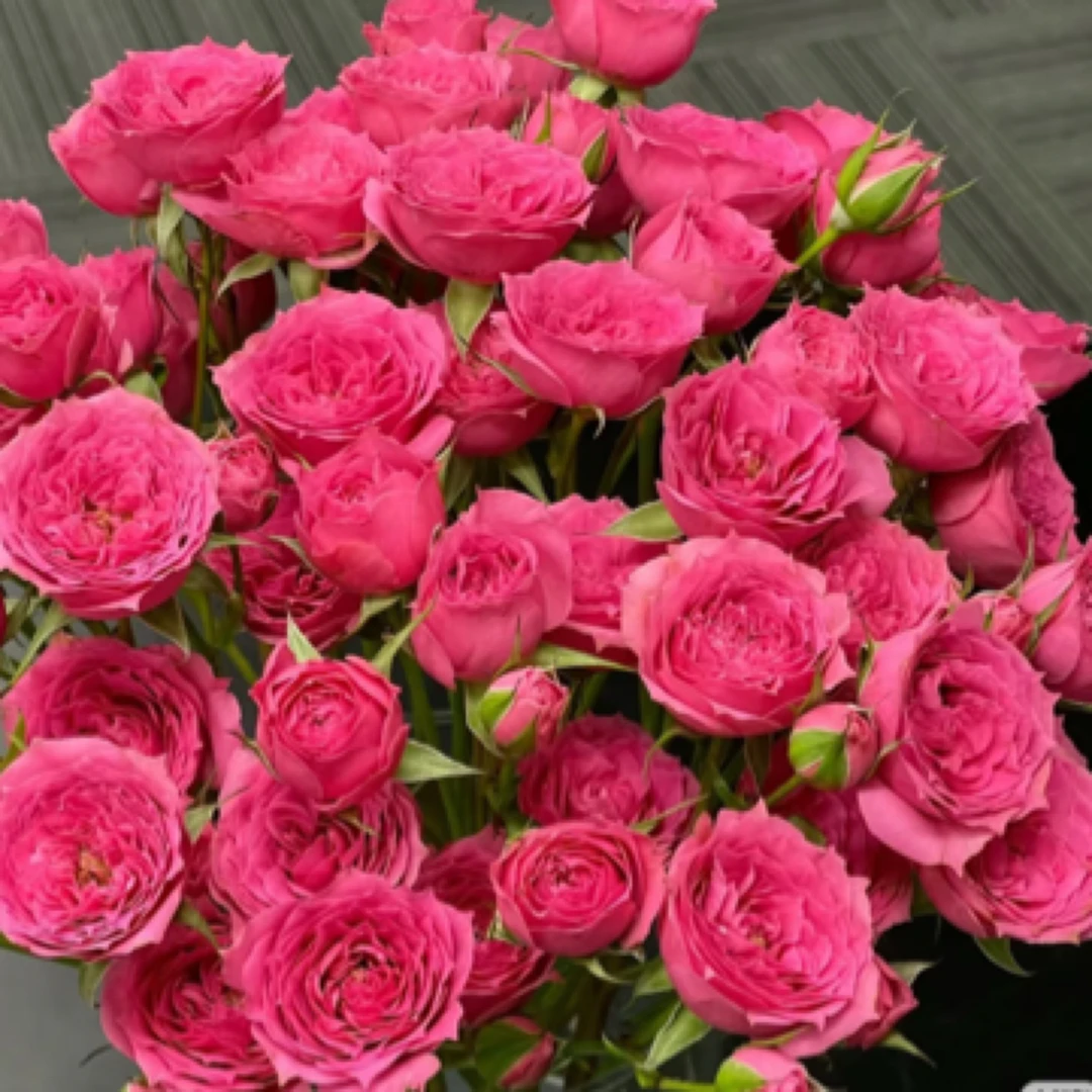 苏菲宝贝A级10支装