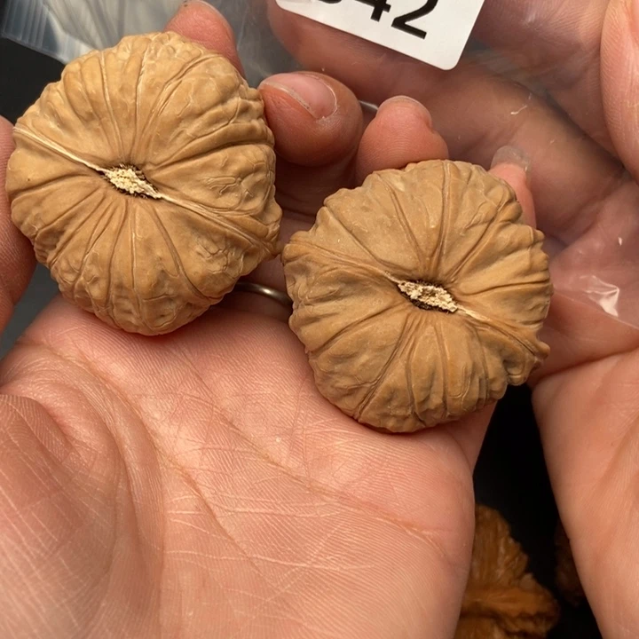 安***)把件文玩核桃342号南瓜