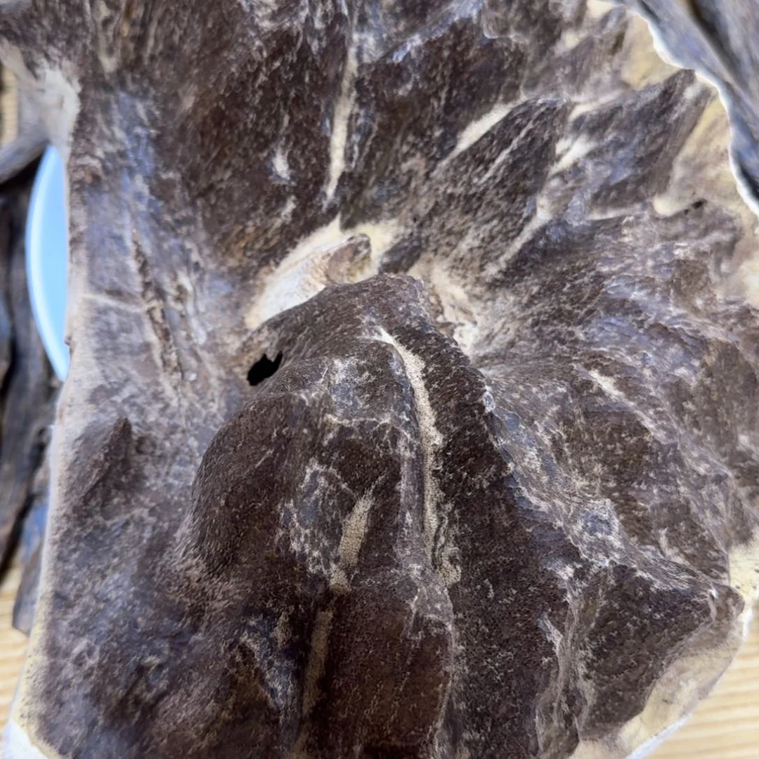 沉香木摆件?****光沉香摆件159克