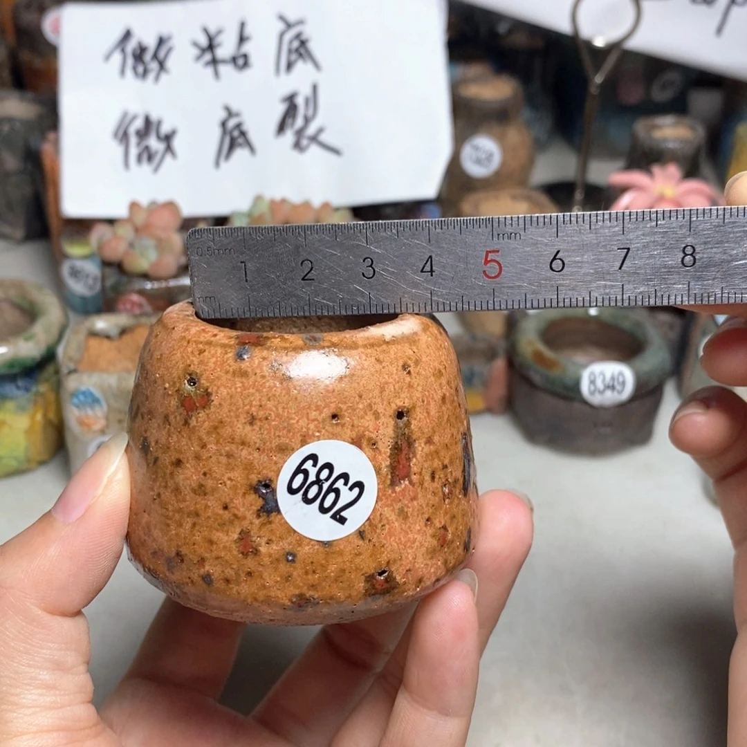 拍5送一个小礼物