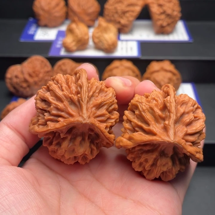 核桃全品三棱43尺