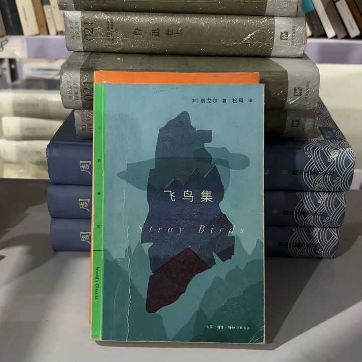 飞鸟集……………………瑕疵