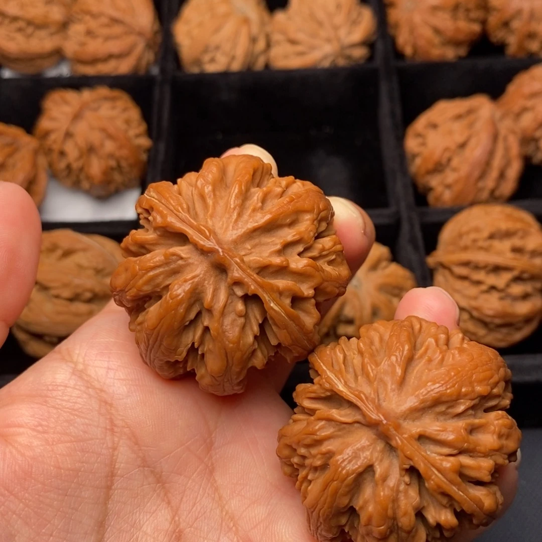 秦岭野生文玩核桃