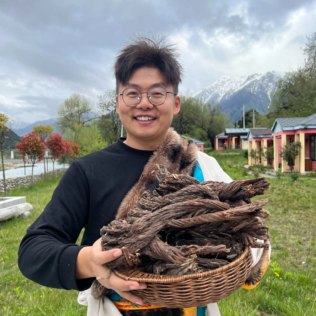（曹乐乐）西藏高海拔野生紫丹参干货可泡水养生中药材