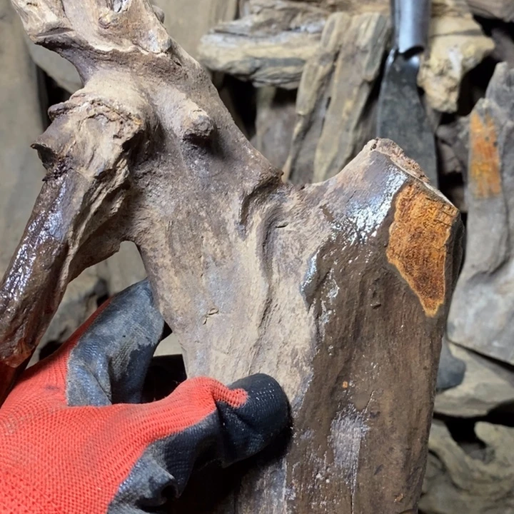 天***猫贡木贡木手串定制（不退不换）