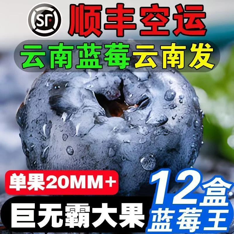 云南抚仙湖露天花香蓝莓现摘现发脆甜爆汁孕婴辅食顺丰空运包邮