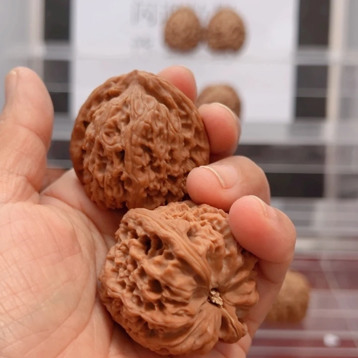 L***i涿鹿南京石文环校园