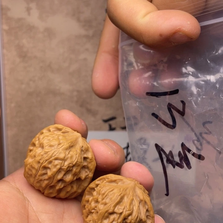 文玩核桃把件36全品野狼