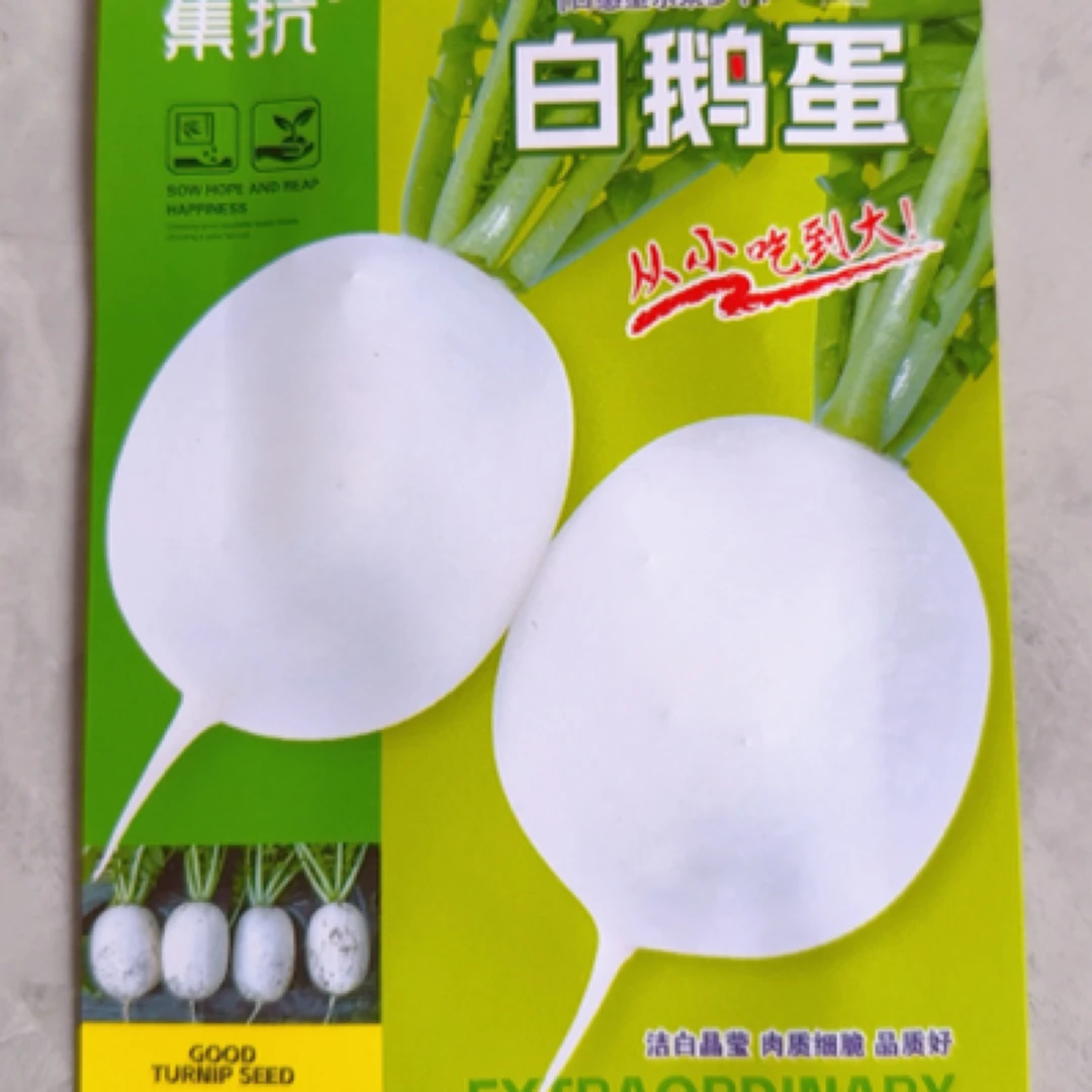 白鹅蛋水果萝卜种子 400粒左右 春秋四季种植