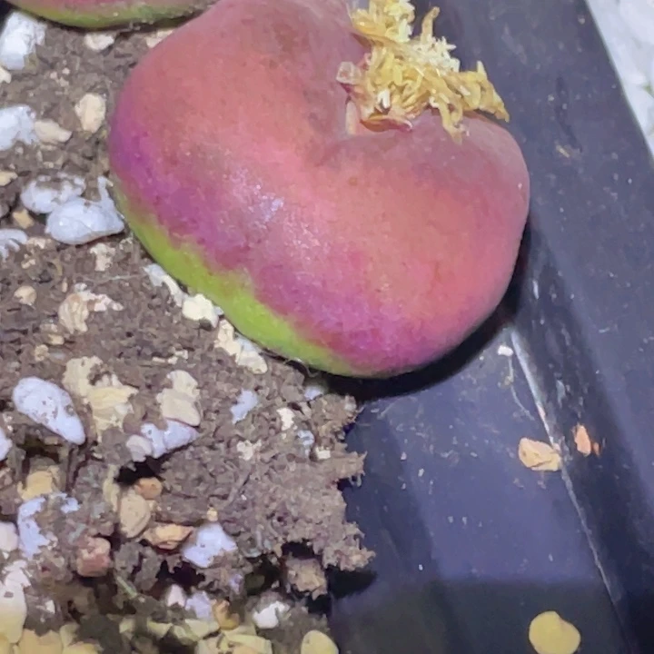 1***、48998 980900888888888888