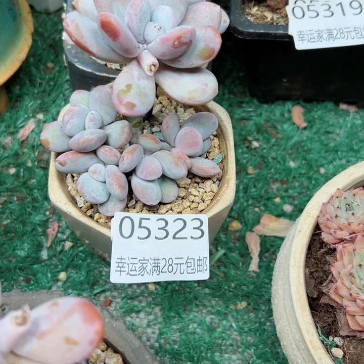 幸运的是我还没遇到过