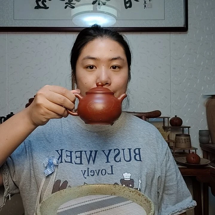 茶壶朱泥潘壶250毫升大红袍