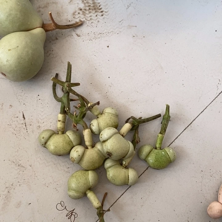 余**心我就知道她不会和他说话