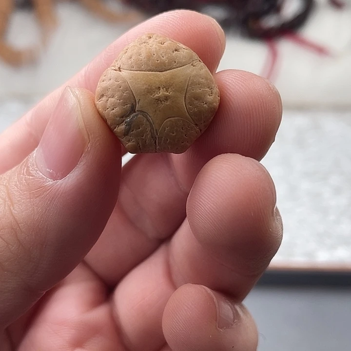 手串凤眼菩提尼泊尔小凤眼