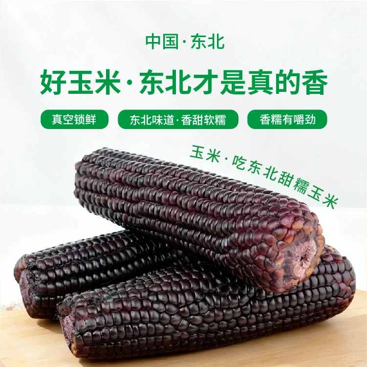 25年东北头茬紫箔黑糯玉米大棒单根240-280g（试吃两根）
