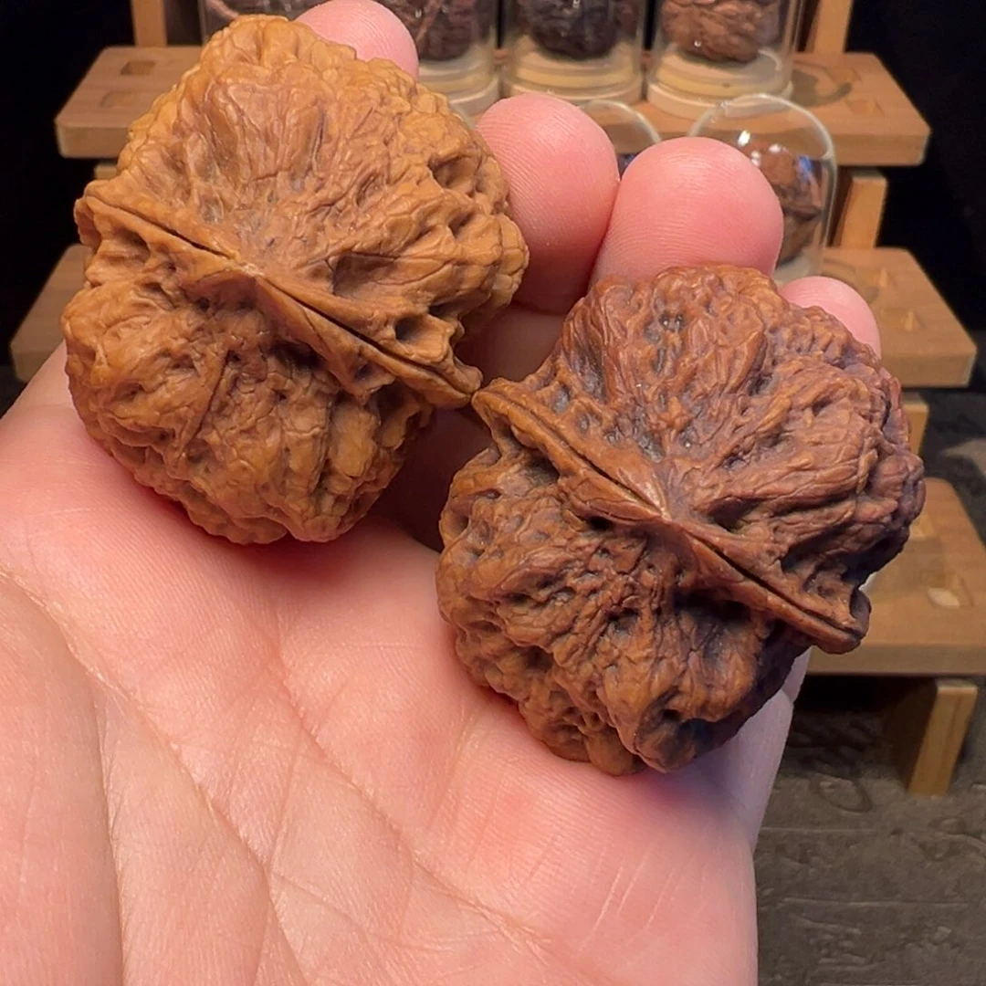 文玩核桃把件火凤凰43mm