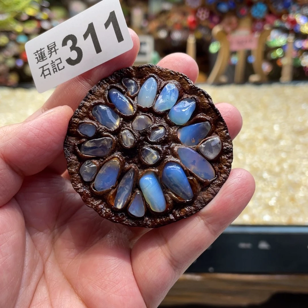 核桃木/黑胡桃（胡桃木）311