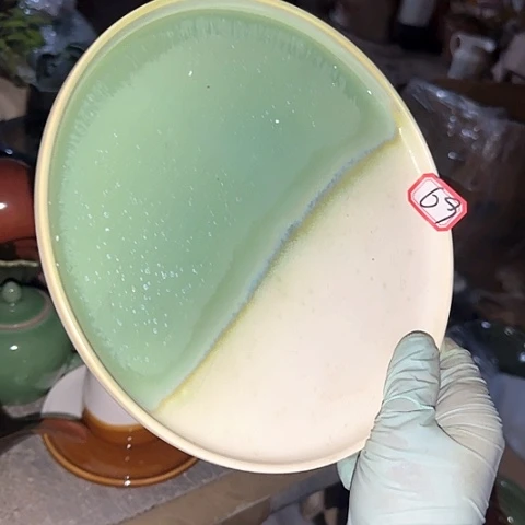 瓷片国营厂库存69底磕