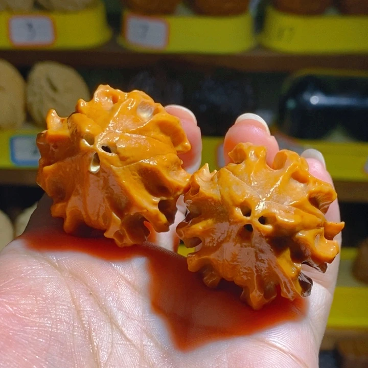 小***螺野生大橄榄核金刚杵橄榄