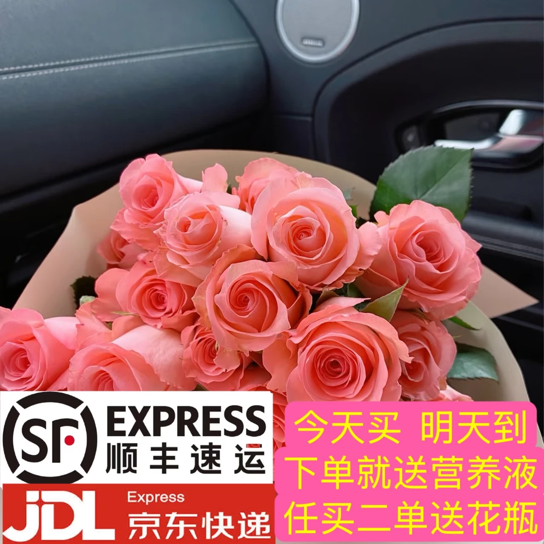 鲜花次日达 戴安娜粉色玫瑰8支顺丰京东包邮