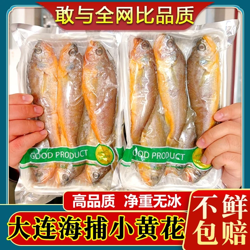纯野小黄花鱼新鲜冷冻生深海鱼黄花鱼烧烤饭店海鲜500g顺丰包邮