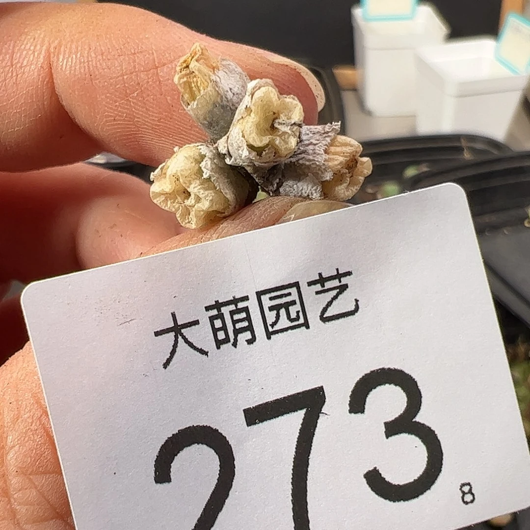 0000273 一物一拍……