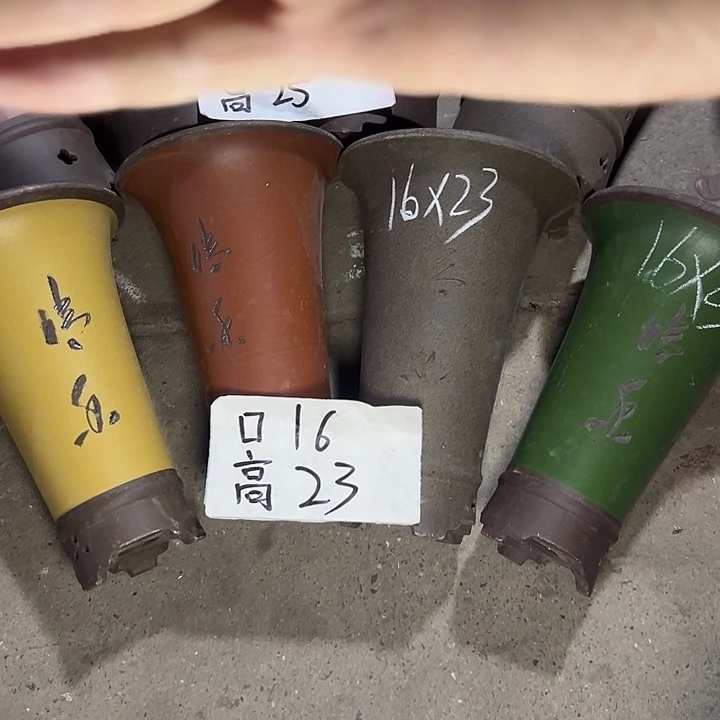 周三周四自始至终