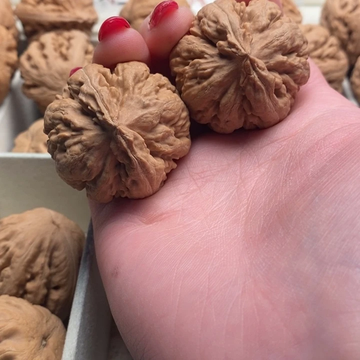 @***凉霸王龙全全品无修一刀没动