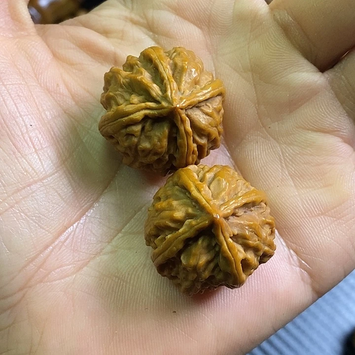 竹类秋子四棱野生小核桃一对