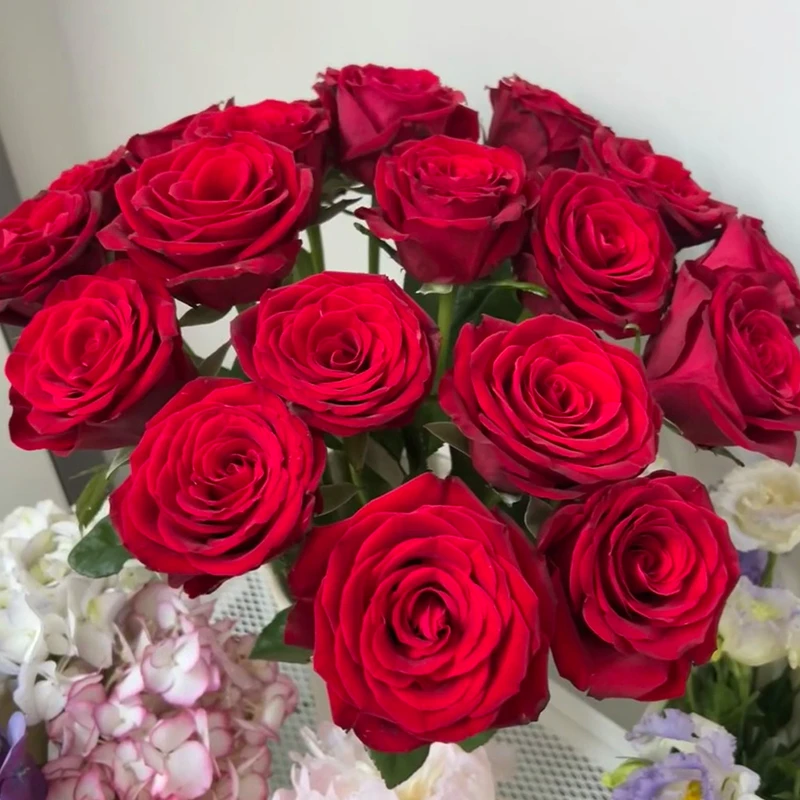 【朱砂】玫瑰（2-3单包邮京东冷链/4单包邮顺丰空运）