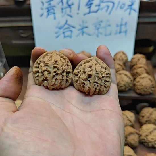 霞云岭虎头啊啊啊啊啊啊啊