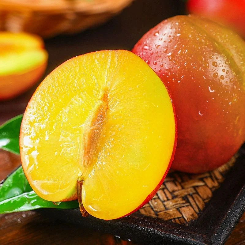 【坏果包赔】新鲜现摘红布林黄心脱骨酸甜可口当季水果2-5斤装